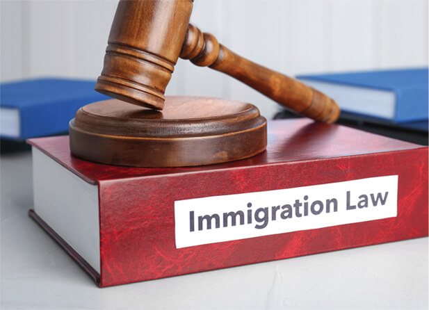 Immigration Lawyer